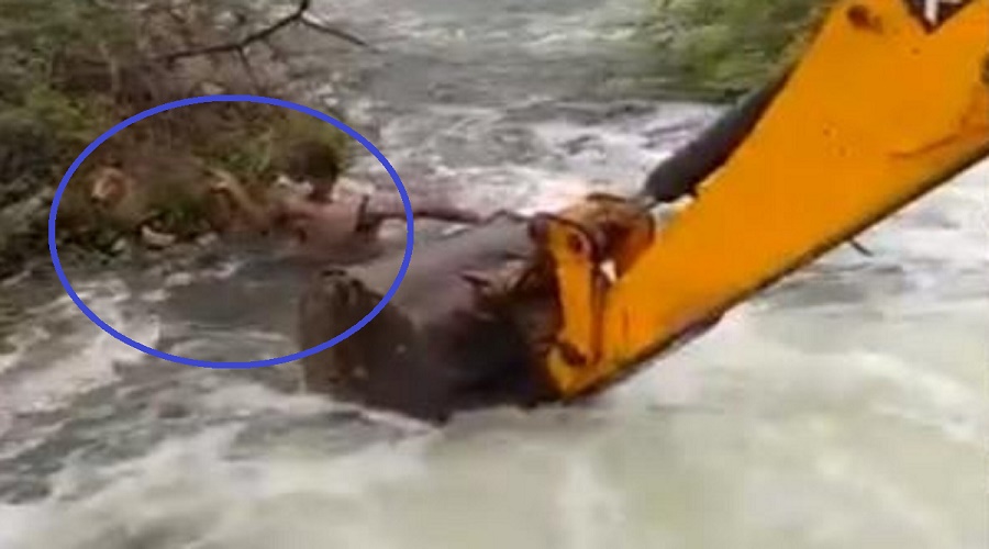કુતરાને બચાવવા JCBથી નદીમાં કૂદી પડ્યો હોમગાર્ડ, વીડિયો વાયરલ